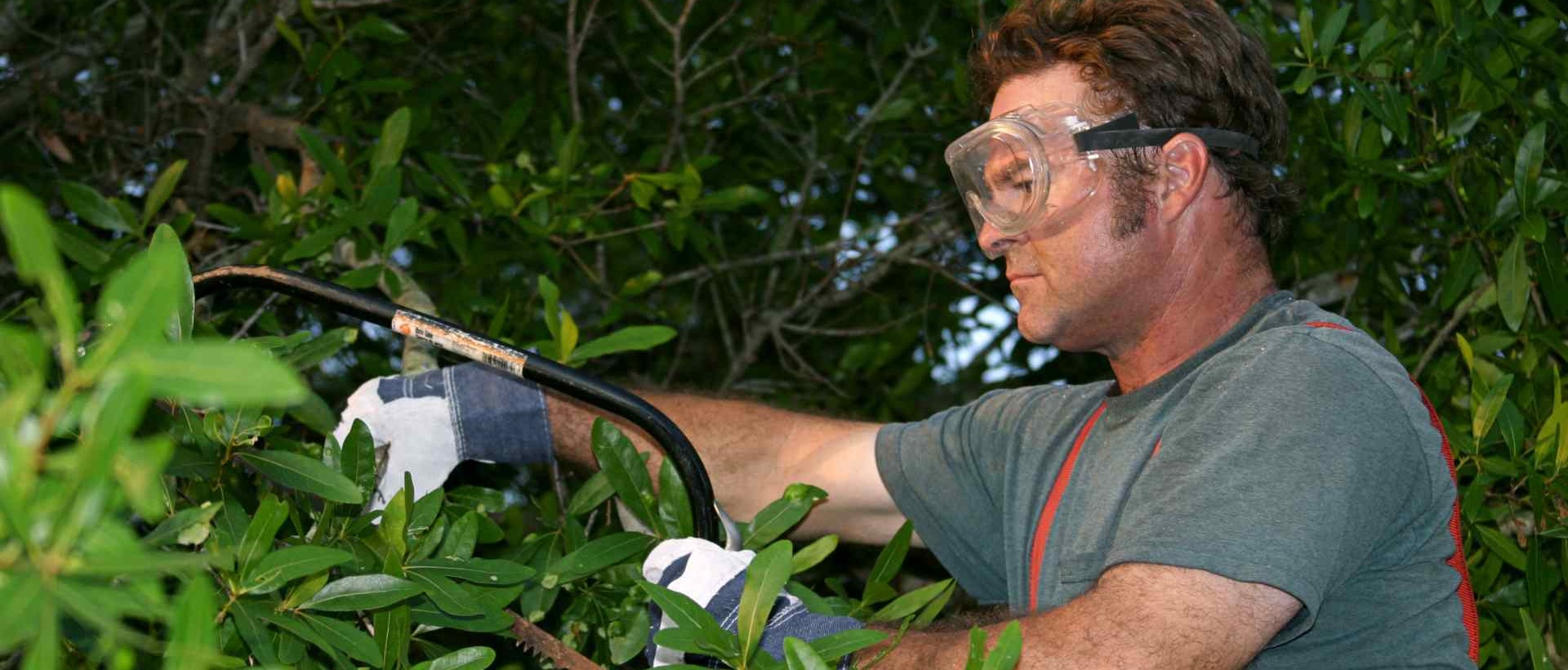 garden clearance TW7